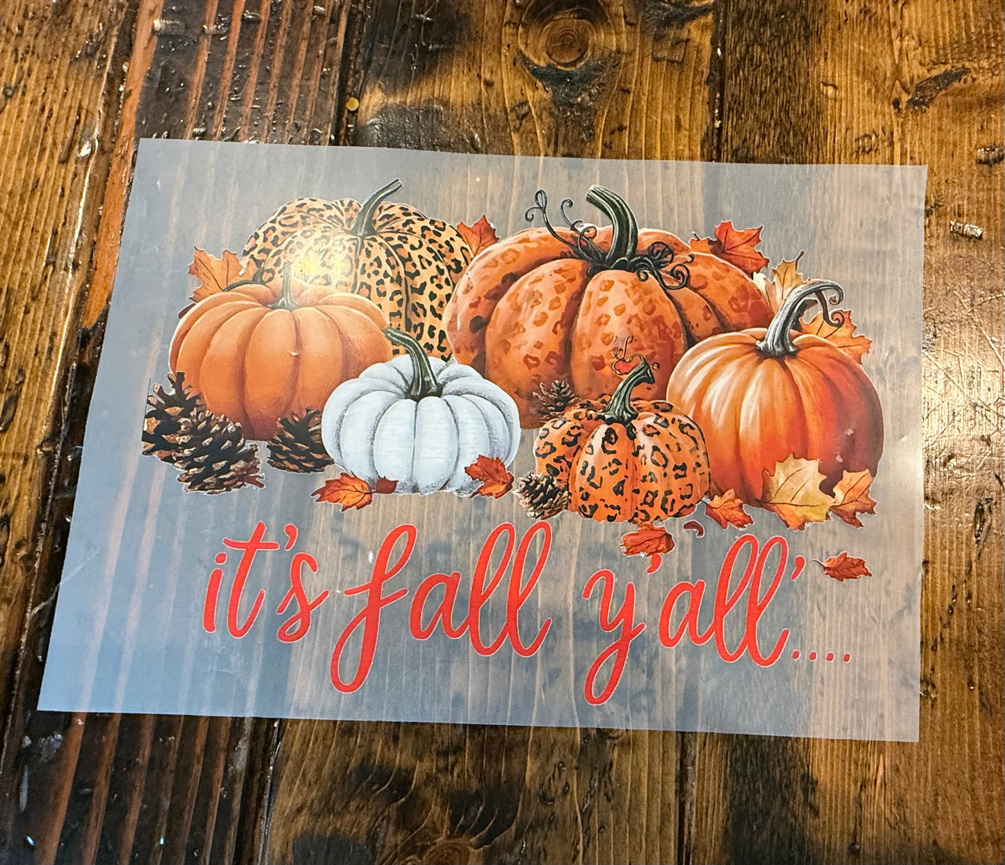 6 pumpkin It’s Fall Yall