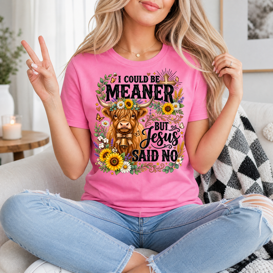 I Could Be Meaner, But Jesus Said No Highland Cow Graphic Tee