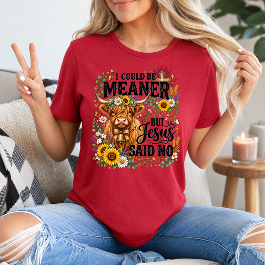 I Could Be Meaner, But Jesus Said No Highland Cow Graphic Tee