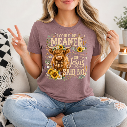 I Could Be Meaner, But Jesus Said No Highland Cow Graphic Tee