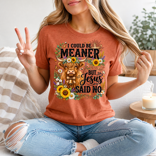 I Could Be Meaner, But Jesus Said No Highland Cow Graphic Tee