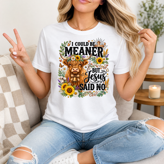 I Could Be Meaner, But Jesus Said No Highland Cow Graphic Tee