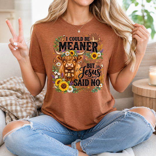 I Could Be Meaner, But Jesus Said No Highland Cow Graphic Tee