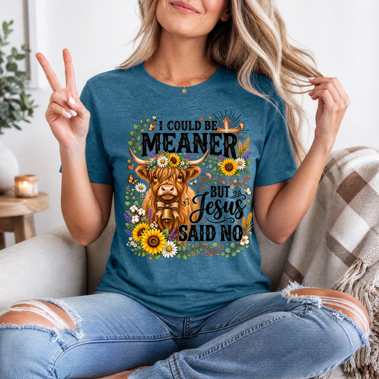 I Could Be Meaner, But Jesus Said No Highland Cow Graphic Tee
