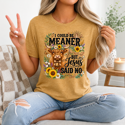 I Could Be Meaner, But Jesus Said No Highland Cow Graphic Tee
