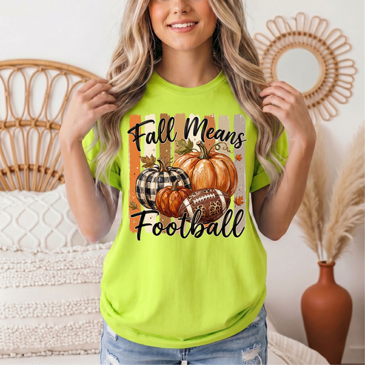Fall Means Football Pumpkin Graphic Tee
