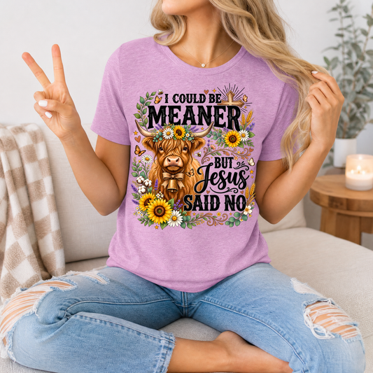 I Could Be Meaner, But Jesus Said No Highland Cow Graphic Tee