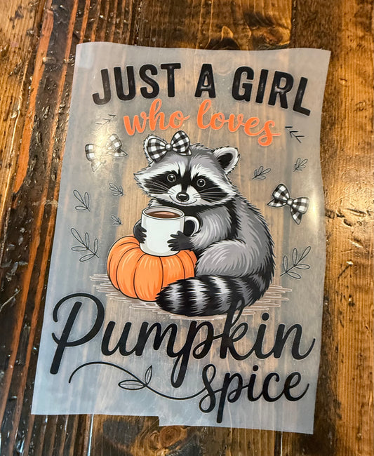Just a girl who loves pumpkin spice
