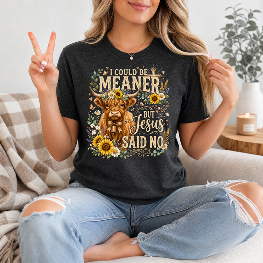 I Could Be Meaner, But Jesus Said No Highland Cow Graphic Tee