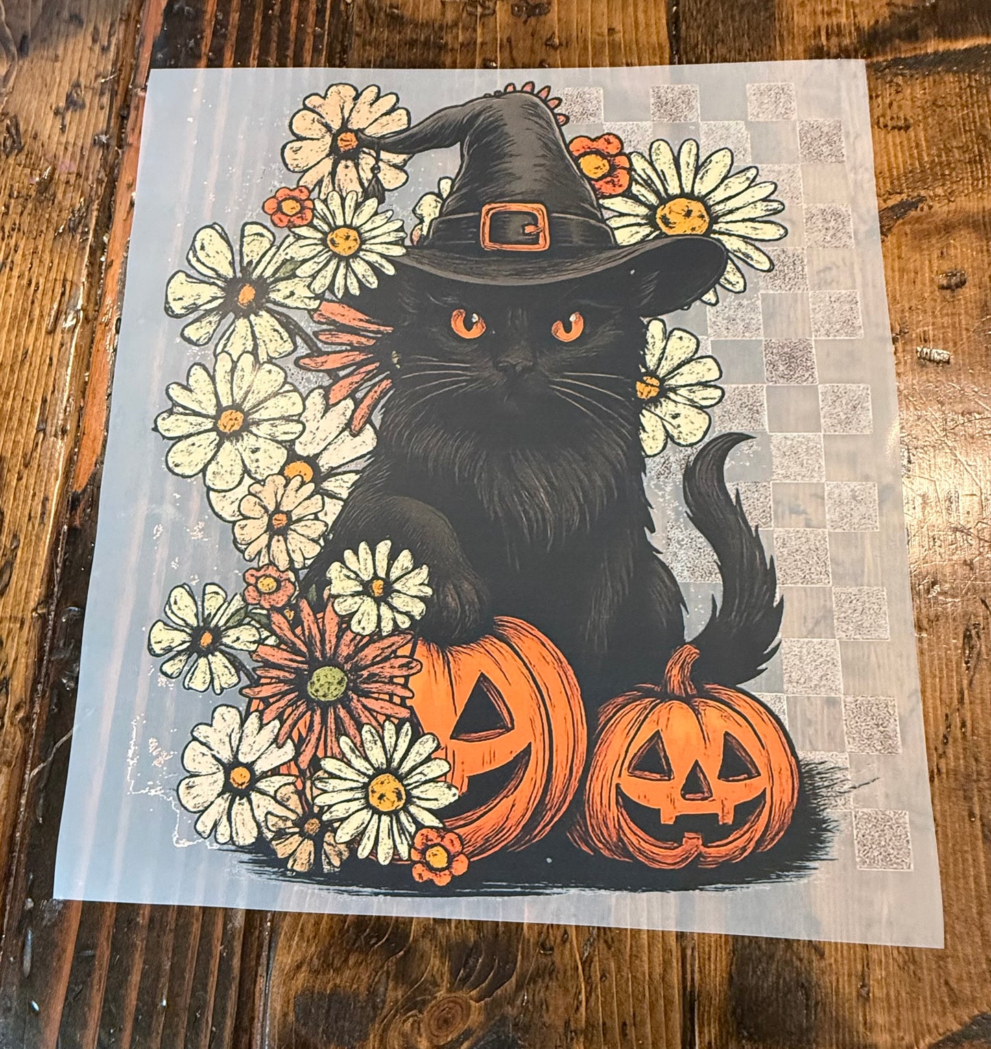 Black Halloween Cat
