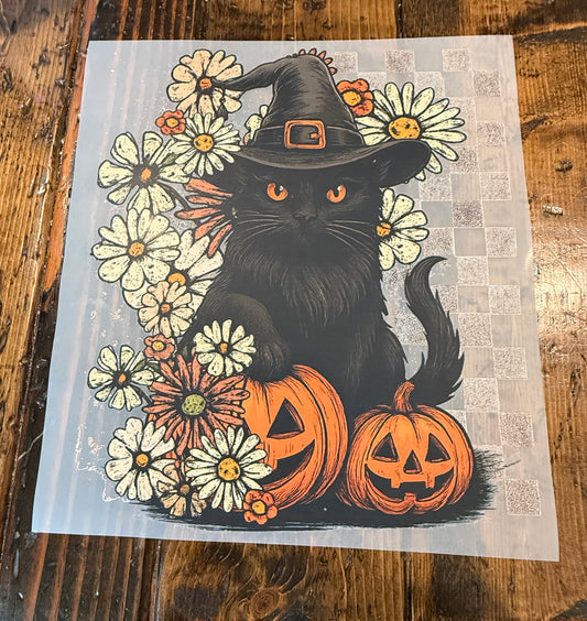 Black Halloween Cat