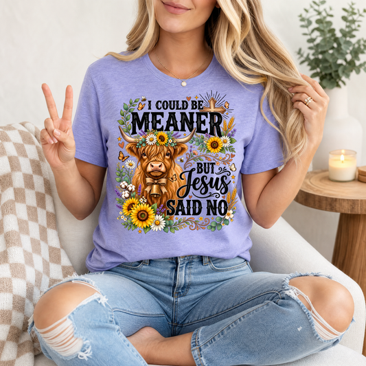 I Could Be Meaner, But Jesus Said No Highland Cow Graphic Tee