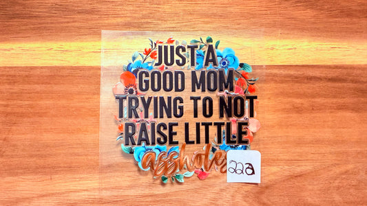 #222 Just a good mom trying to not raise little asshole