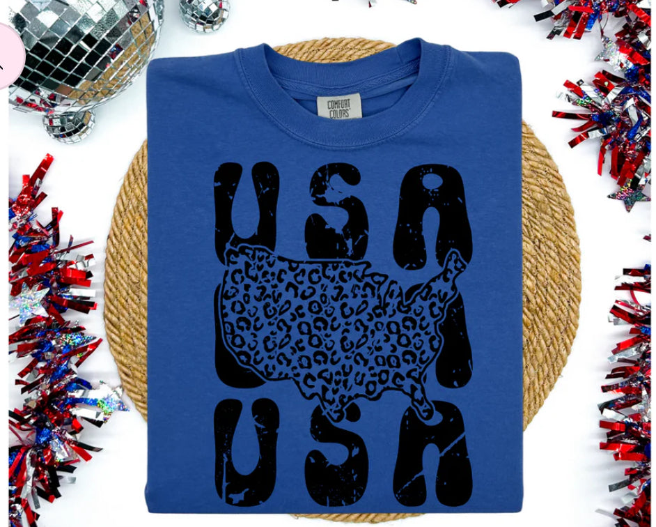 USA America USA
