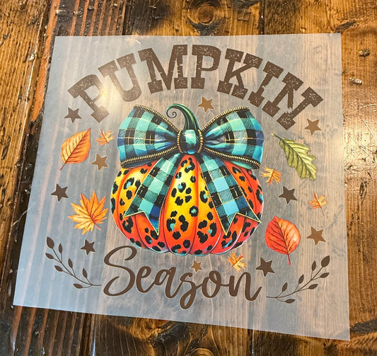 Pumpkin Season Teal Bow