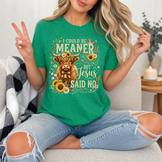 I Could Be Meaner, But Jesus Said No Highland Cow Graphic Tee