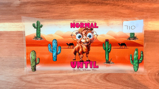 #710 Funny Camel