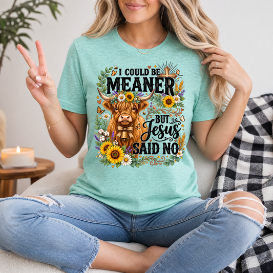 I Could Be Meaner, But Jesus Said No Highland Cow Graphic Tee