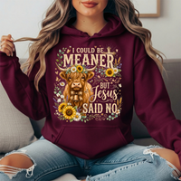 I Could Be Meaner But Jesus Said No Highland Cow Hoodie