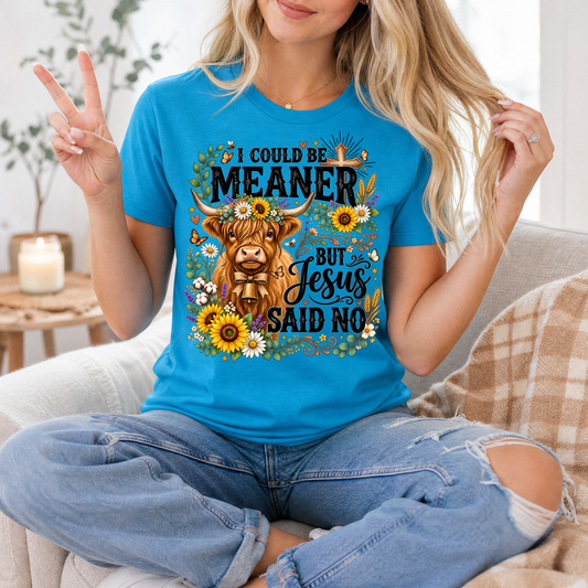 I Could Be Meaner, But Jesus Said No Highland Cow Graphic Tee