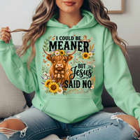 I Could Be Meaner But Jesus Said No Highland Cow Hoodie