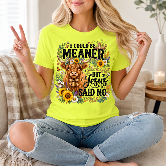 I Could Be Meaner, But Jesus Said No Highland Cow Graphic Tee