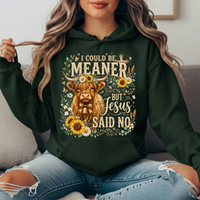 I Could Be Meaner But Jesus Said No Highland Cow Hoodie