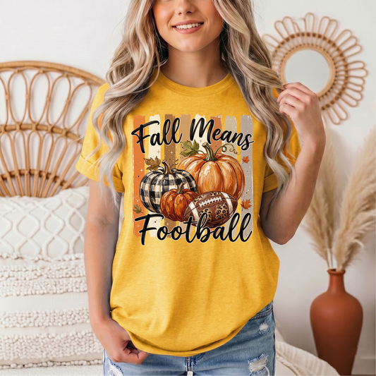 Fall Means Football Pumpkin Graphic Tee