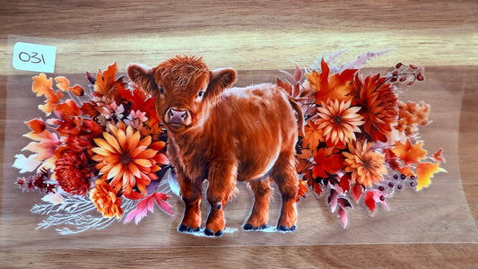 #31 Brown Highland cow with fall flowers