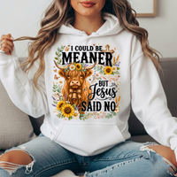 I Could Be Meaner But Jesus Said No Highland Cow Hoodie