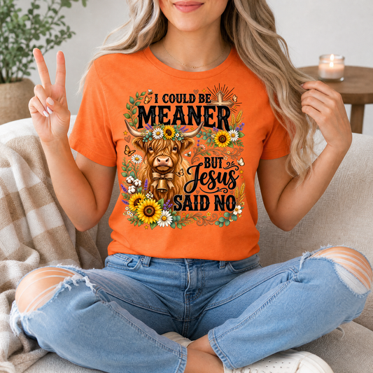 I Could Be Meaner, But Jesus Said No Highland Cow Graphic Tee