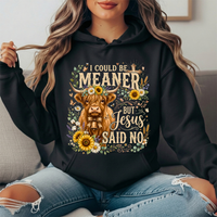 I Could Be Meaner But Jesus Said No Highland Cow Hoodie