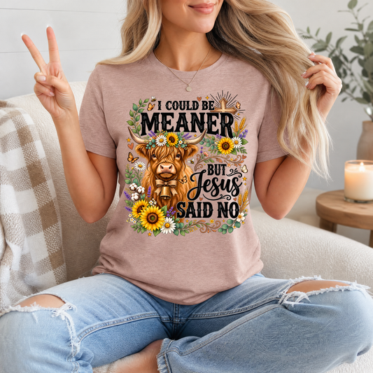 I Could Be Meaner, But Jesus Said No Highland Cow Graphic Tee