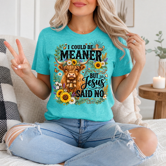 I Could Be Meaner, But Jesus Said No Highland Cow Graphic Tee