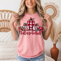 Fall Is for Football Alabama Pumpkin Graphic Tee