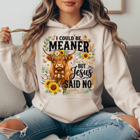I Could Be Meaner But Jesus Said No Highland Cow Hoodie