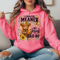 I Could Be Meaner But Jesus Said No Highland Cow Hoodie