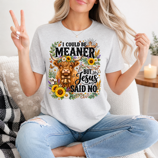 I Could Be Meaner, But Jesus Said No Highland Cow Graphic Tee