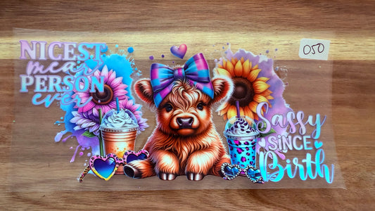 #50 Highland Cow- Sassy since birth