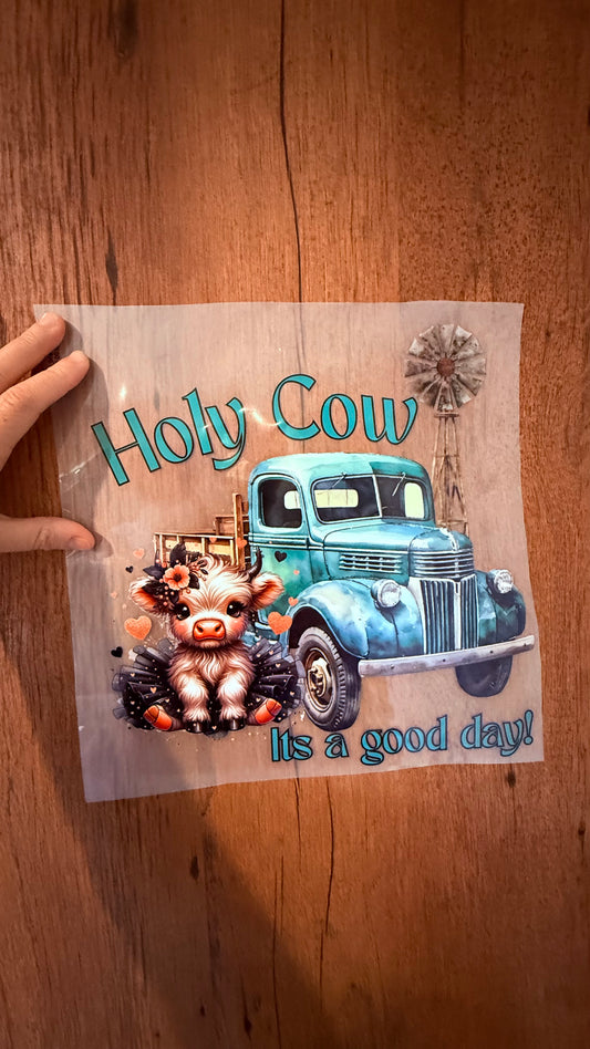 Holy cow Its a good day