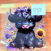 #737 Black Highland K's Krafty Barn