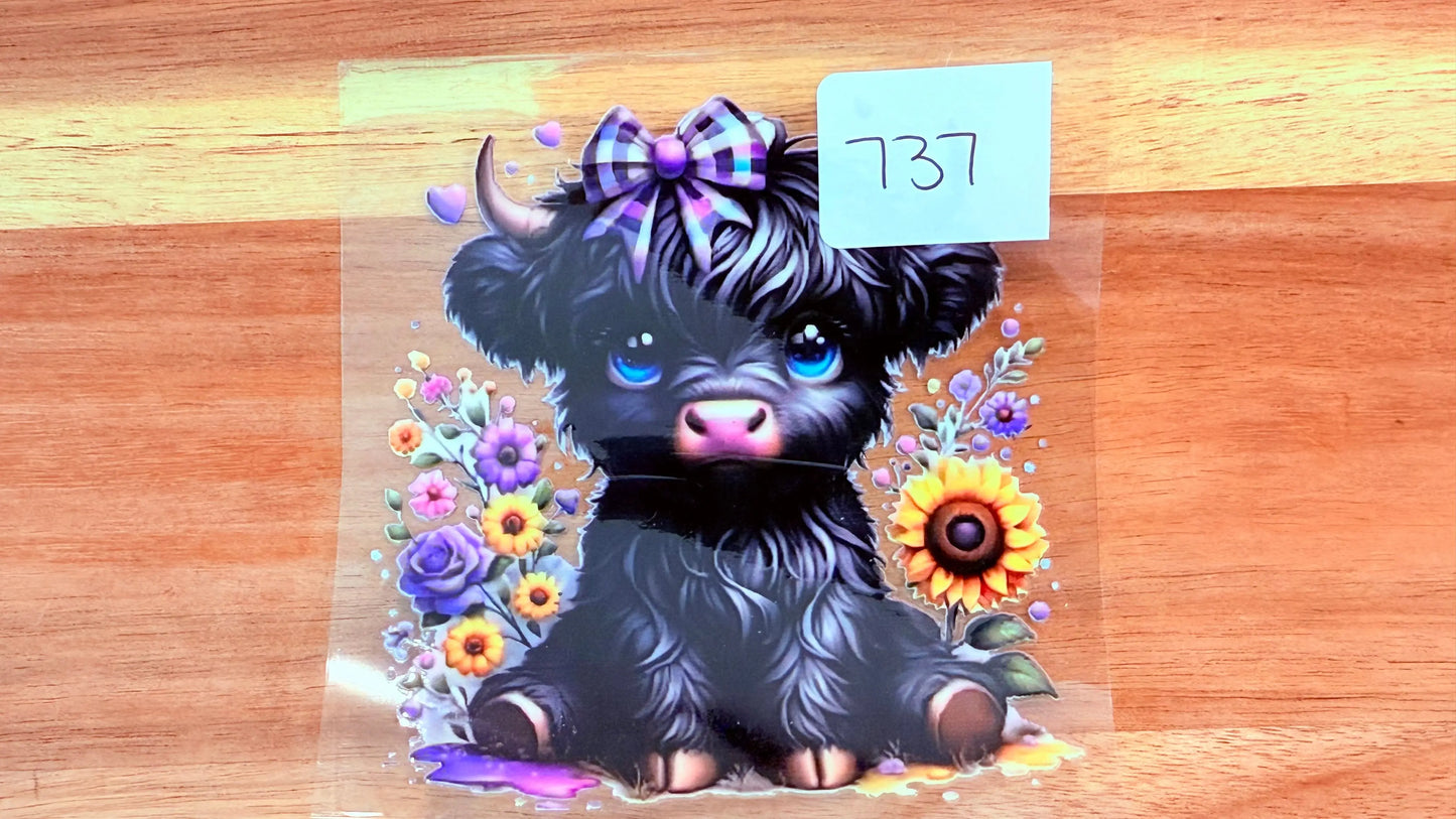 #737 Black Highland K's Krafty Barn