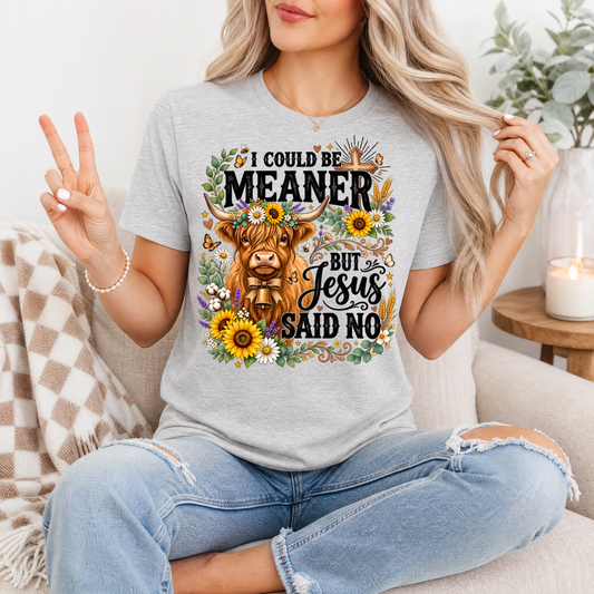 I Could Be Meaner, But Jesus Said No Highland Cow Graphic Tee