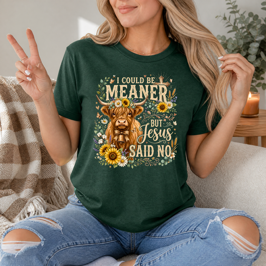 I Could Be Meaner, But Jesus Said No Highland Cow Graphic Tee