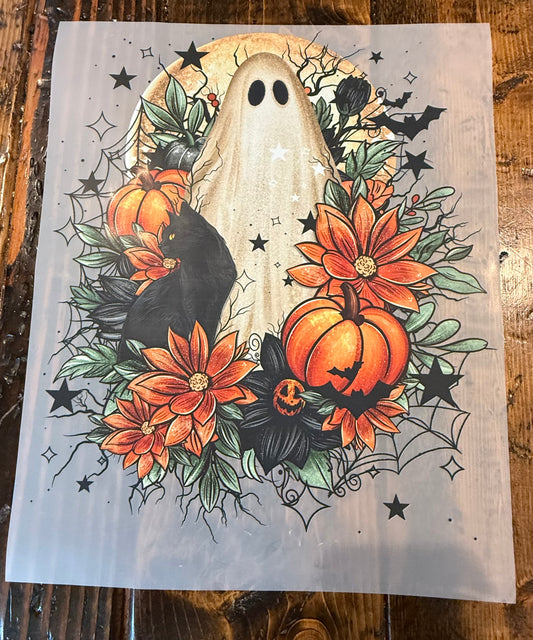 Ghost cat
