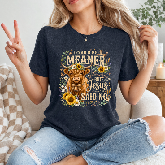 I Could Be Meaner, But Jesus Said No Highland Cow Graphic Tee