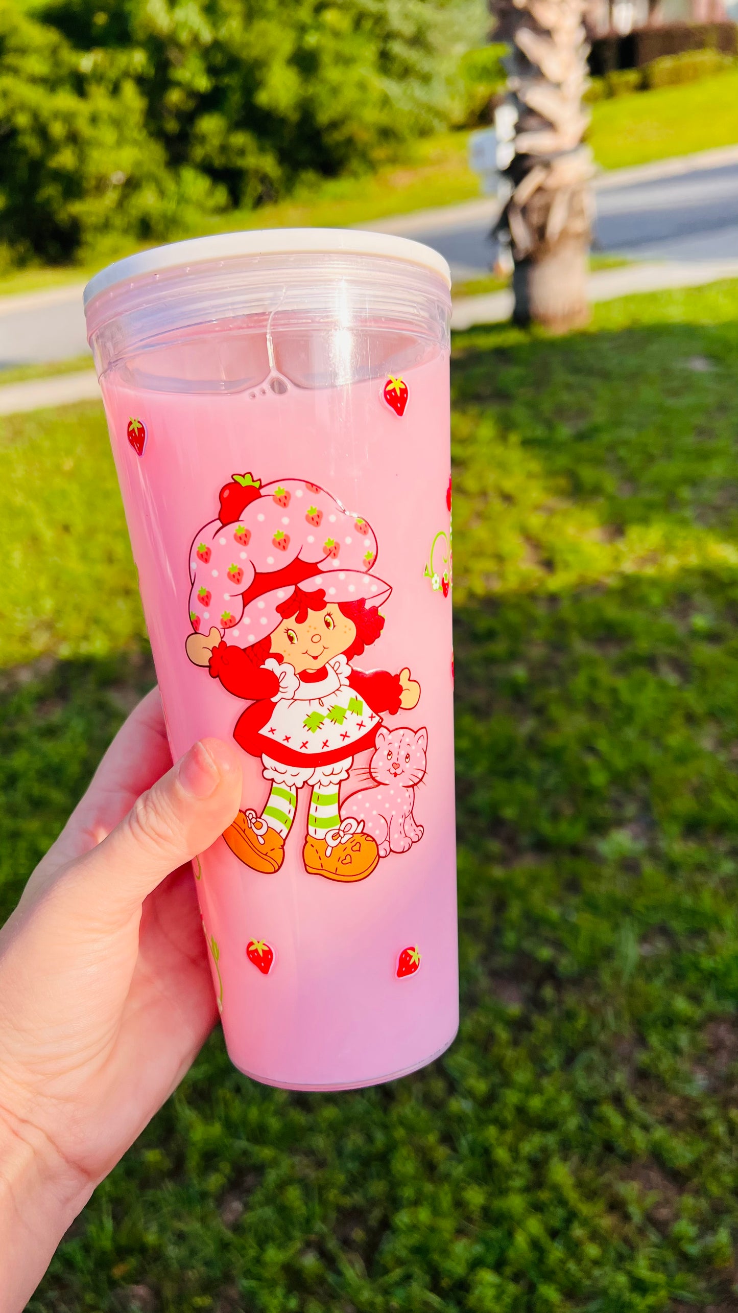 24oz Plastic Strawberry Shortcake- Strawberries N Cream
