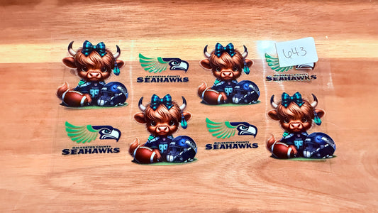 #643 Galveston County Seahawks