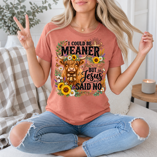 I Could Be Meaner, But Jesus Said No Highland Cow Graphic Tee